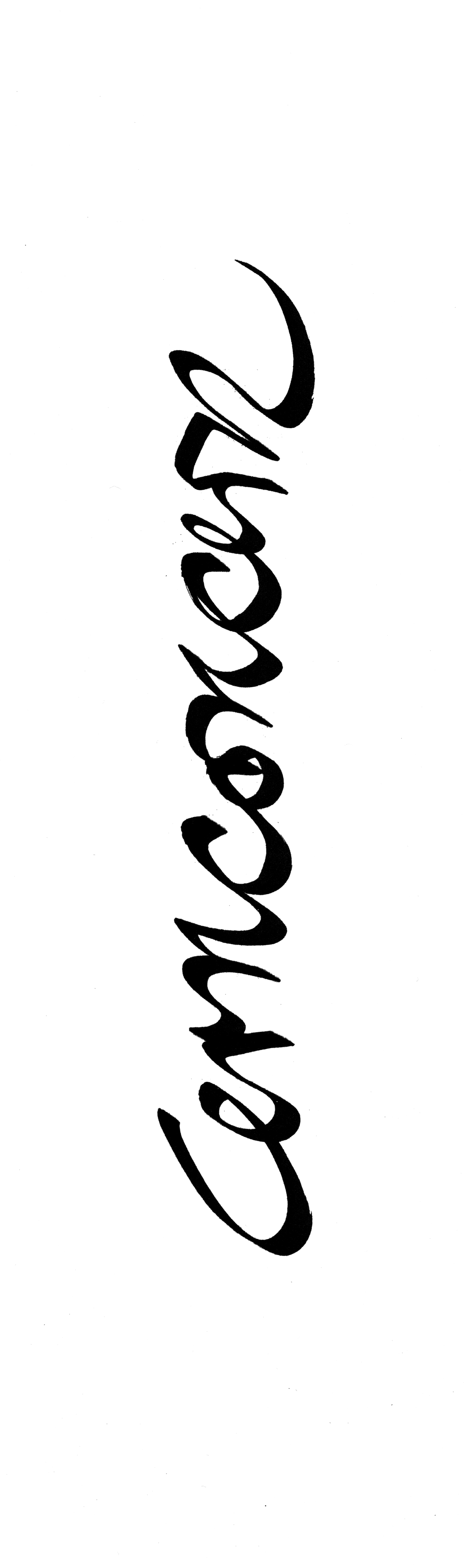 CERNCONCERN