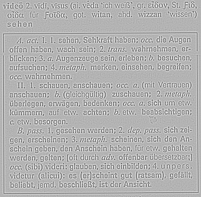 stohwasser_video